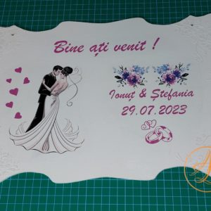 Panou intampinare botez