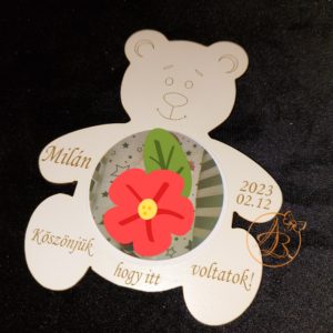 Marturie botez cu ursulet si poza