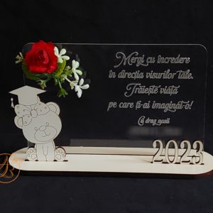 Trofeu cu ursulet pentru absolventi