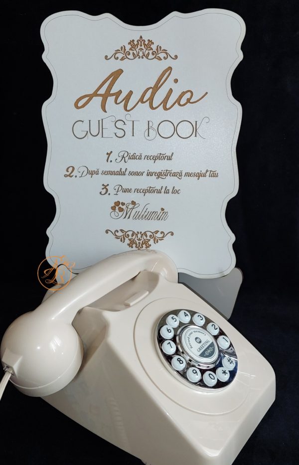 Audio Guest Book - mesaje audio inregistrate - imagine 3