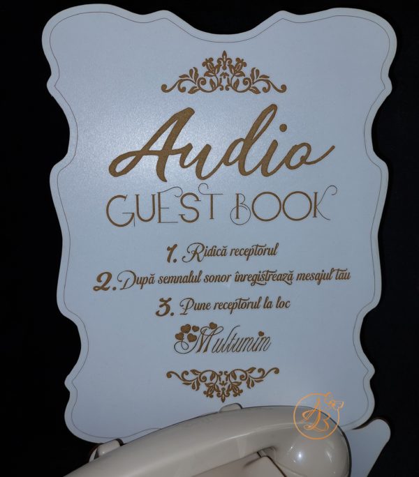 Audio Guest Book - mesaje audio inregistrate - imagine 8