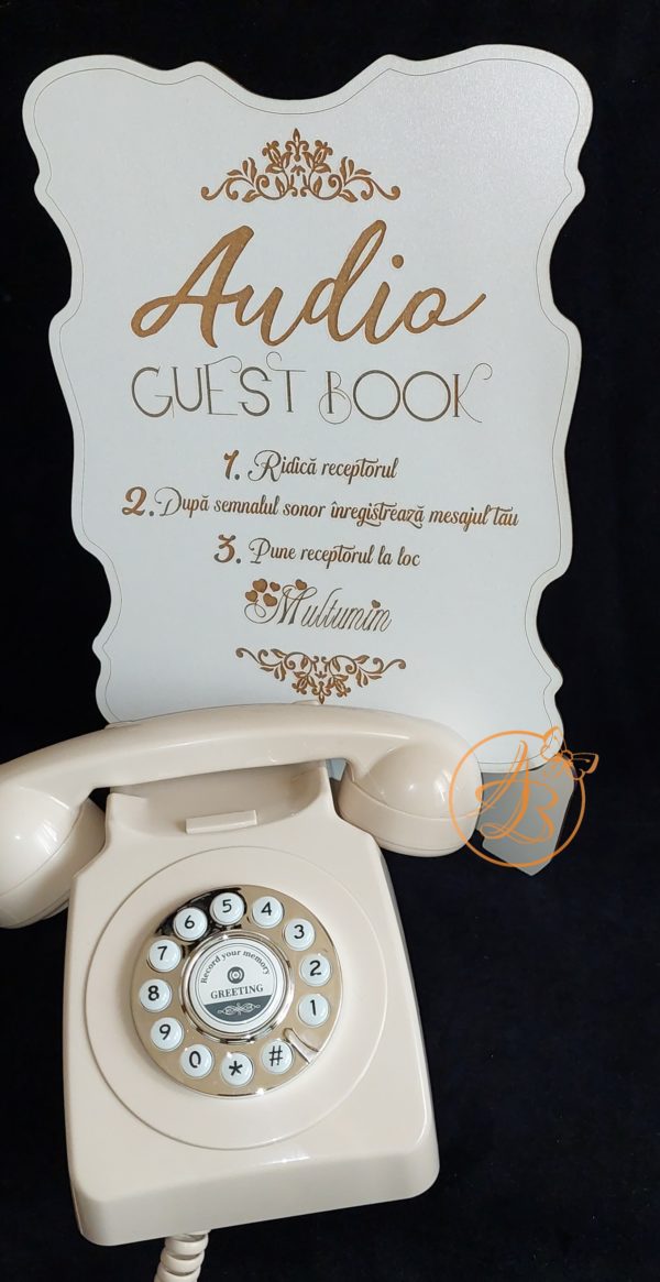Audio Guest Book - mesaje audio inregistrate - imagine 6