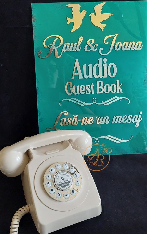 Audio Guest Book - mesaje audio, cu placa personalizata - imagine 15