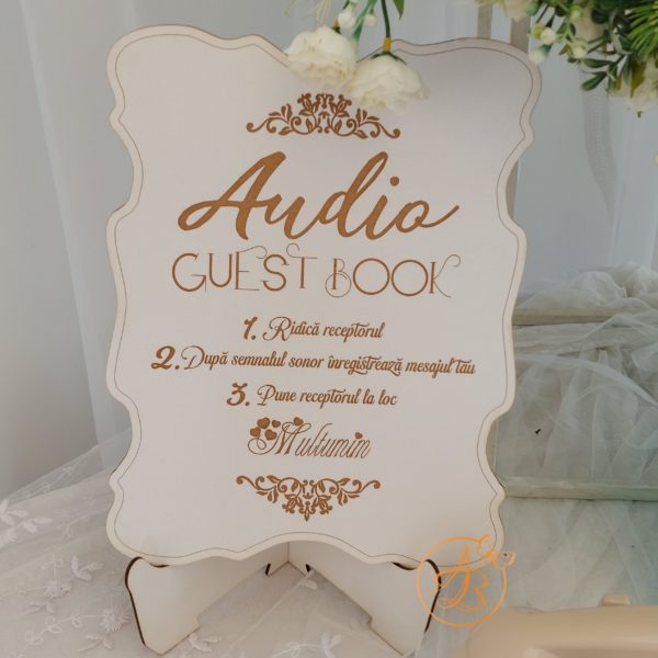 Audio Guest Book - mesaje audio inregistrate - imagine 9