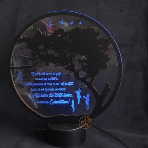 Trofeu cu leduri pentru educatoare
