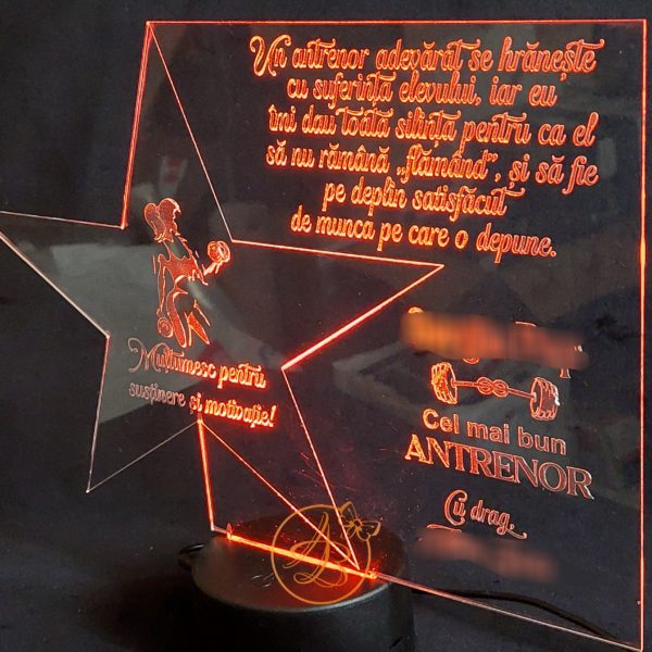 Decor trofeu gravat cu steluta - imagine 4