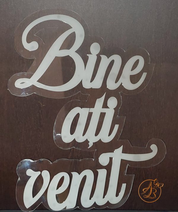 Panou dublat plexiglass Bine ati venit