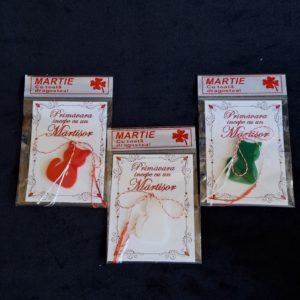 Martisor plexiglas colorat pisica