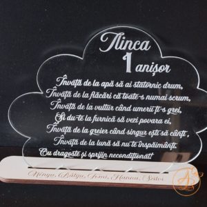 Decor trofeu norisor gravat pentru zi de nastere