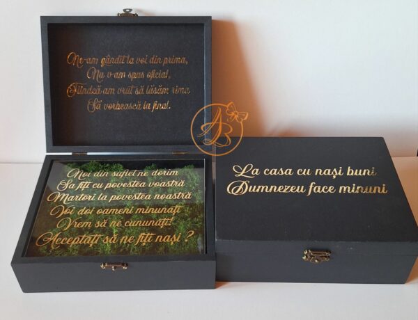 Cutie decorata cu licheni si placa plexiglass, cadou pentru nasi - imagine 4