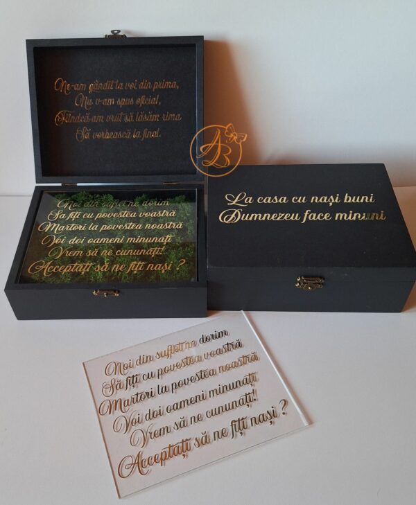 Cutie decorata cu licheni si placa plexiglass, cadou pentru nasi - imagine 3