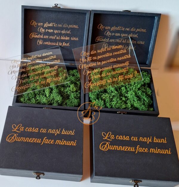 Cutie decorata cu licheni si placa plexiglass, cadou pentru nasi - imagine 6