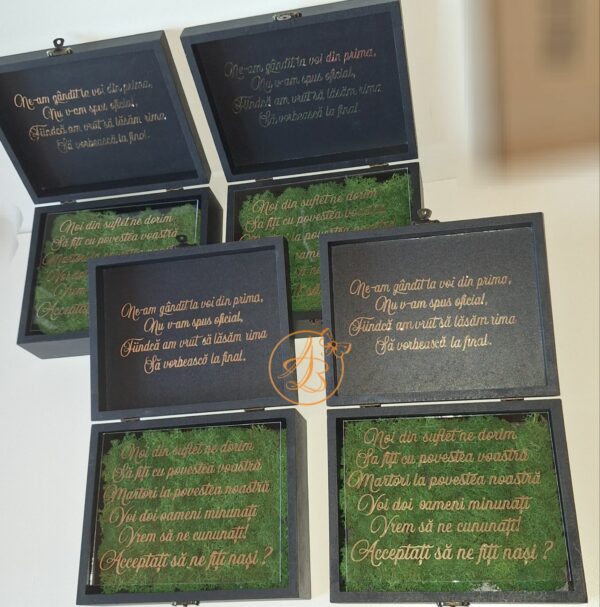 Cutie decorata cu licheni si placa plexiglass, cadou pentru nasi - imagine 7