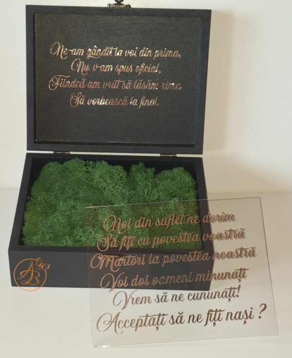 Cutie decorata cu licheni si placa plexiglass, cadou pentru nasi - imagine 8