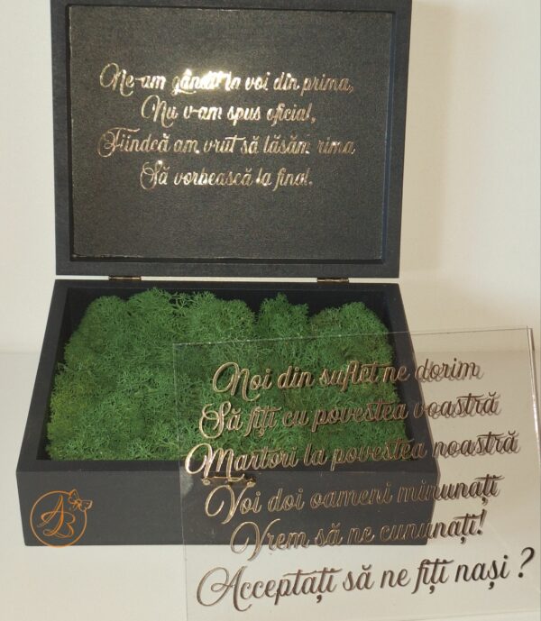 Cutie decorata cu licheni si placa plexiglass, cadou pentru nasi - imagine 10
