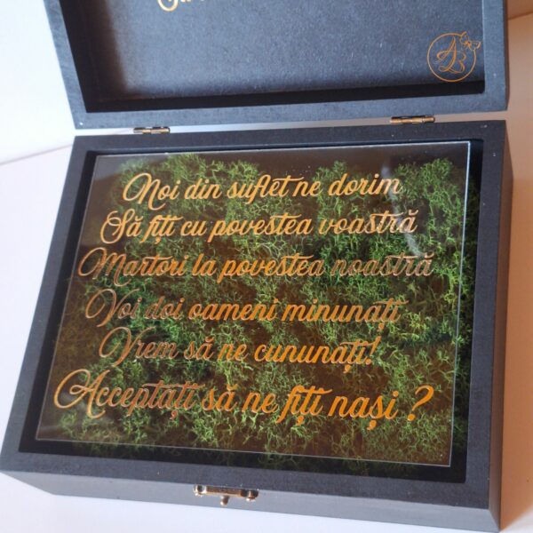 Cutie decorata cu licheni si placa plexiglass, cadou pentru nasi - imagine 11
