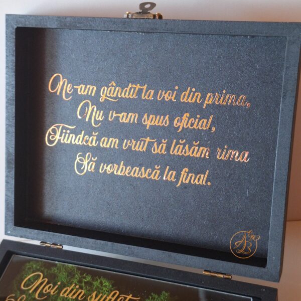 Cutie decorata cu licheni si placa plexiglass, cadou pentru nasi - imagine 13