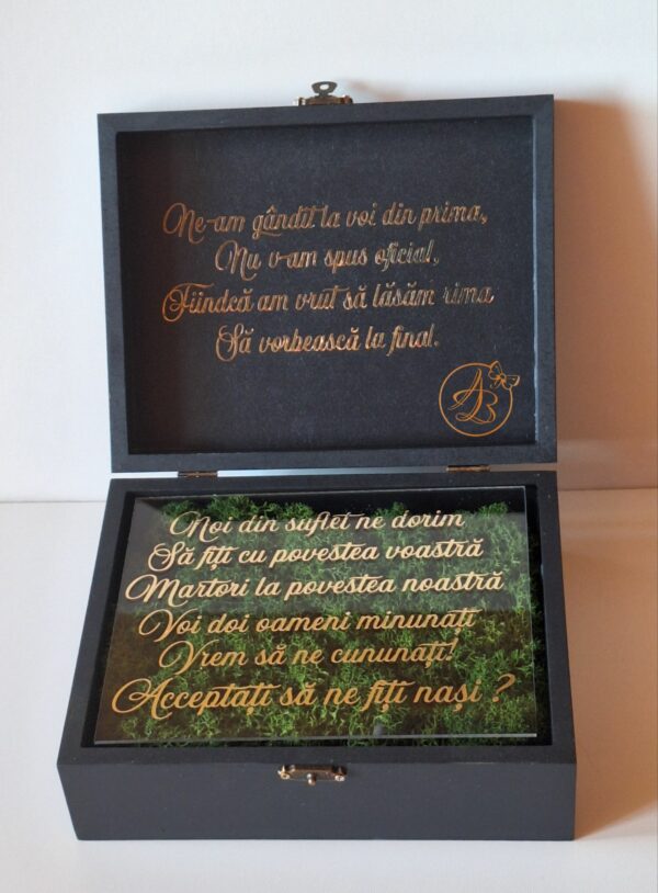 Cutie decorata cu licheni si placa plexiglass, cadou pentru nasi - imagine 12