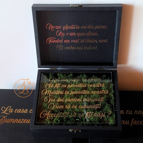 Cutie decorata cu licheni si placa plexiglass, cadou pentru nasi - imagine 2