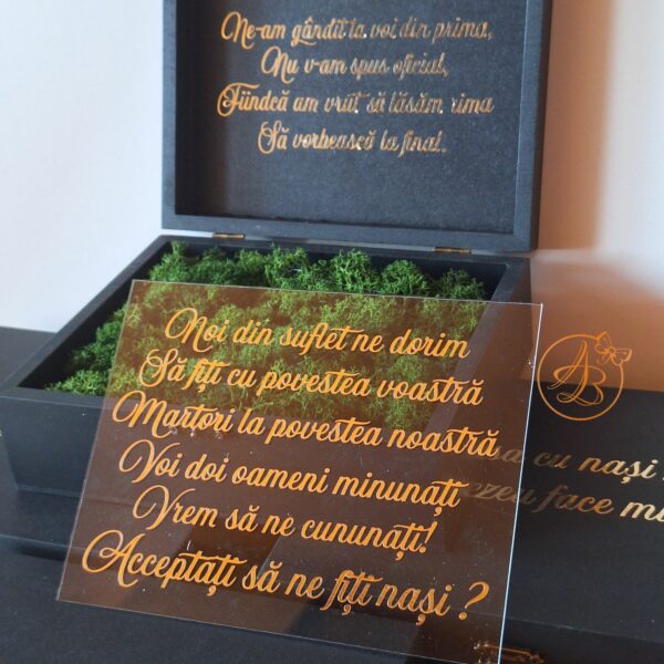 Cutie decorata cu licheni si placa plexiglass, cadou pentru nasi - imagine 14