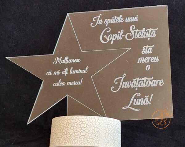 Decor trofeu gravat cu steluta pentru profesor - imagine 6