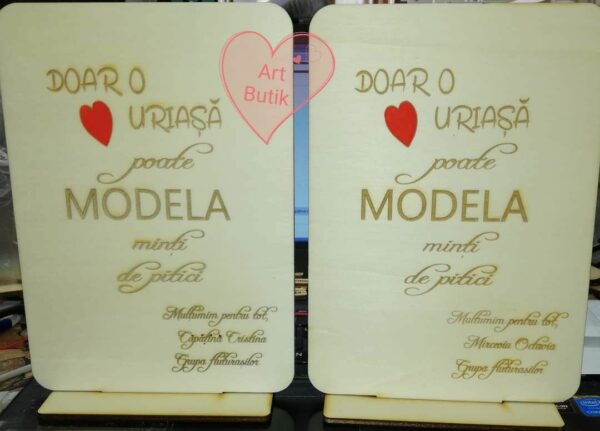 Placa gravata pentru dascali - imagine 4