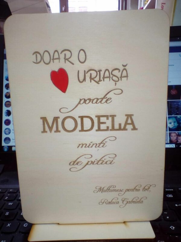 Placa gravata pentru dascali - imagine 2