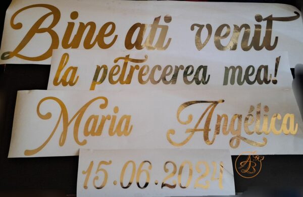 Stickere pentru panou mare - imagine 16