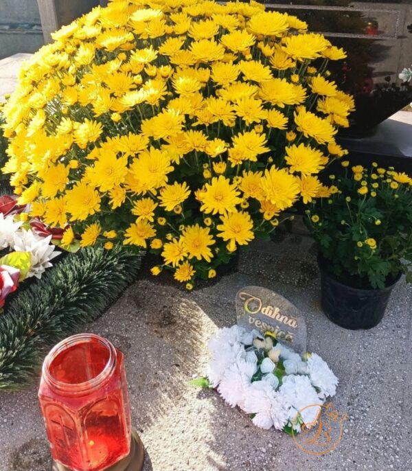 Decor memorial plexiglass pentru cimitir - imagine 9