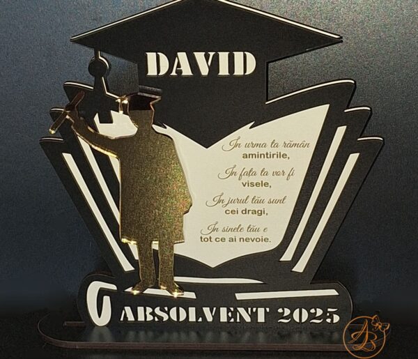 Decor cu nume, silueta oglinda si text gravat pentru absolventi
