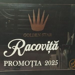 Panou 50x70cm plexiglass transparent pentru absolvire