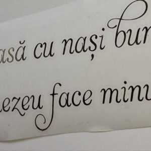 Sticker mare ''La casa cu nasi buni...''