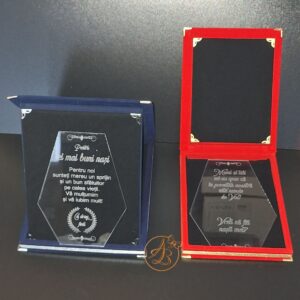 Trofeu in cutie catifea