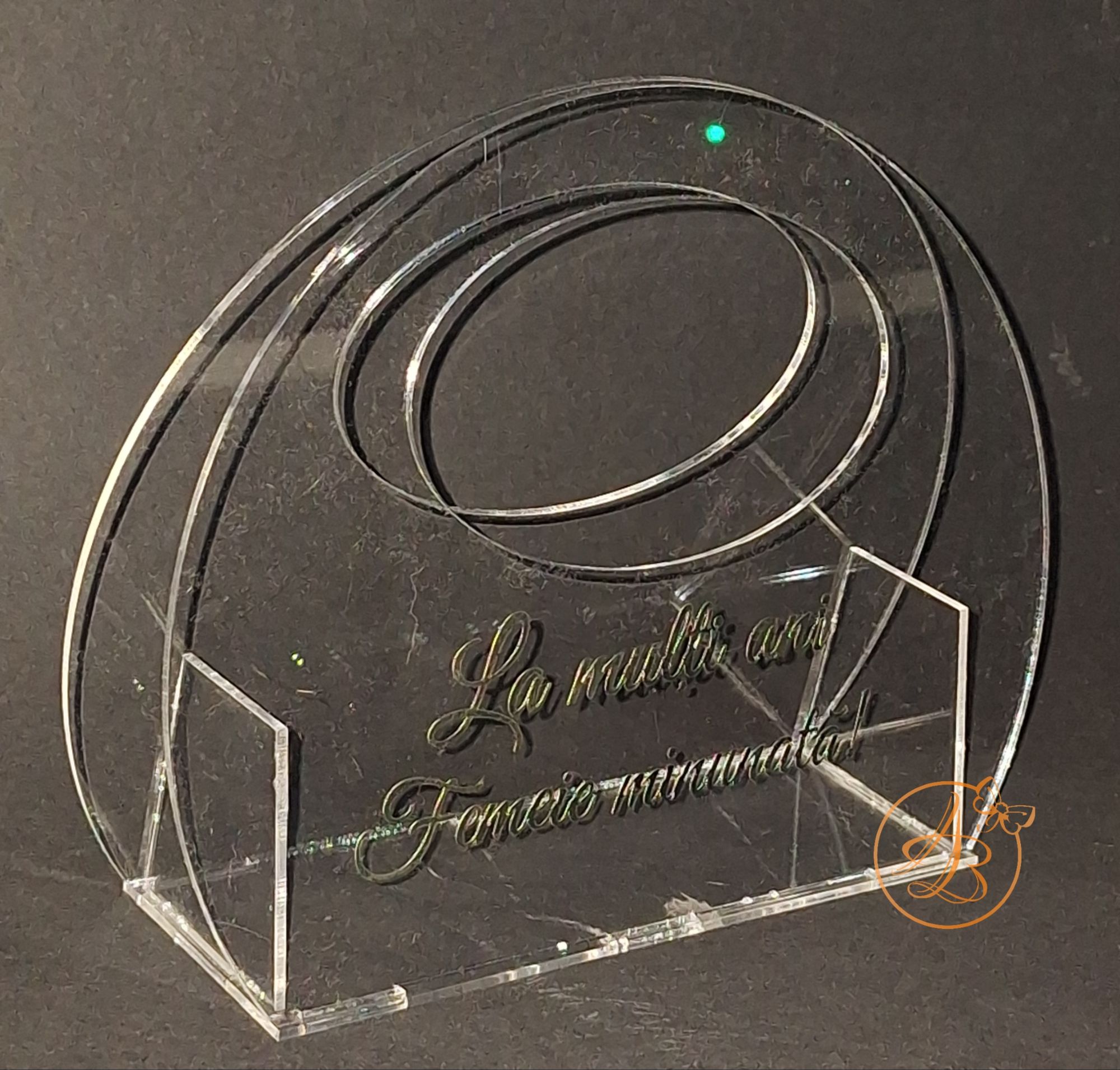 Poseta mica cu maner din plexiglass transparent