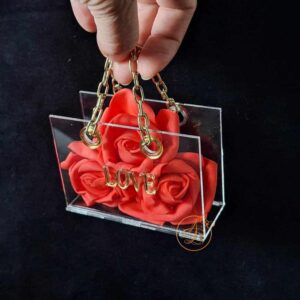 Poseta mini din plexiglass transparent cu maner auriu