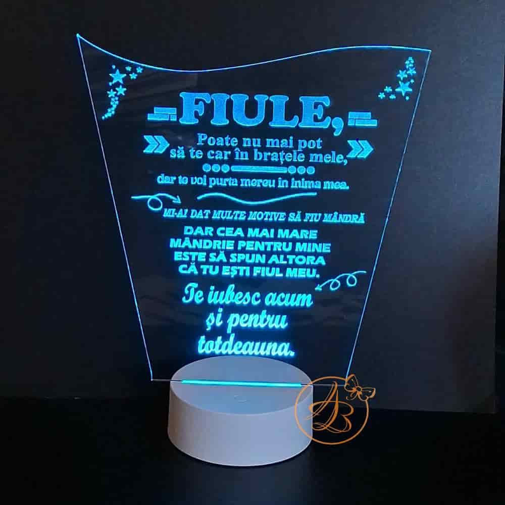 Decor trofeu gravat pentru fiu, cu leduri colorate - imagine 3