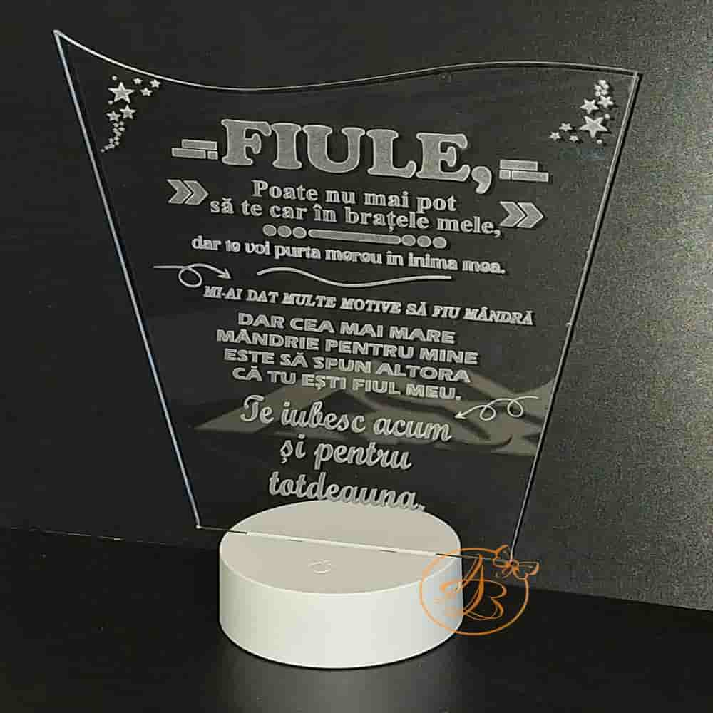 Decor trofeu gravat pentru fiu, cu leduri colorate - imagine 2