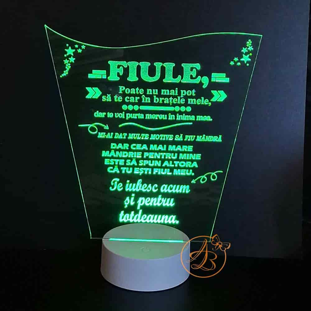 Decor trofeu gravat pentru fiu, cu leduri colorate - imagine 6