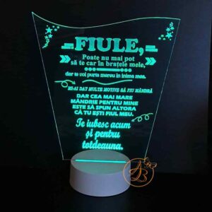 Decor trofeu gravat pentru fiu, cu leduri colorate