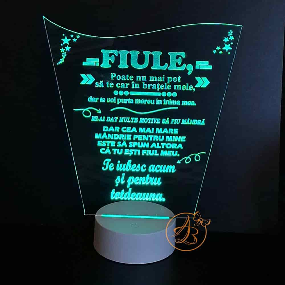 Decor trofeu gravat pentru fiu, cu leduri colorate