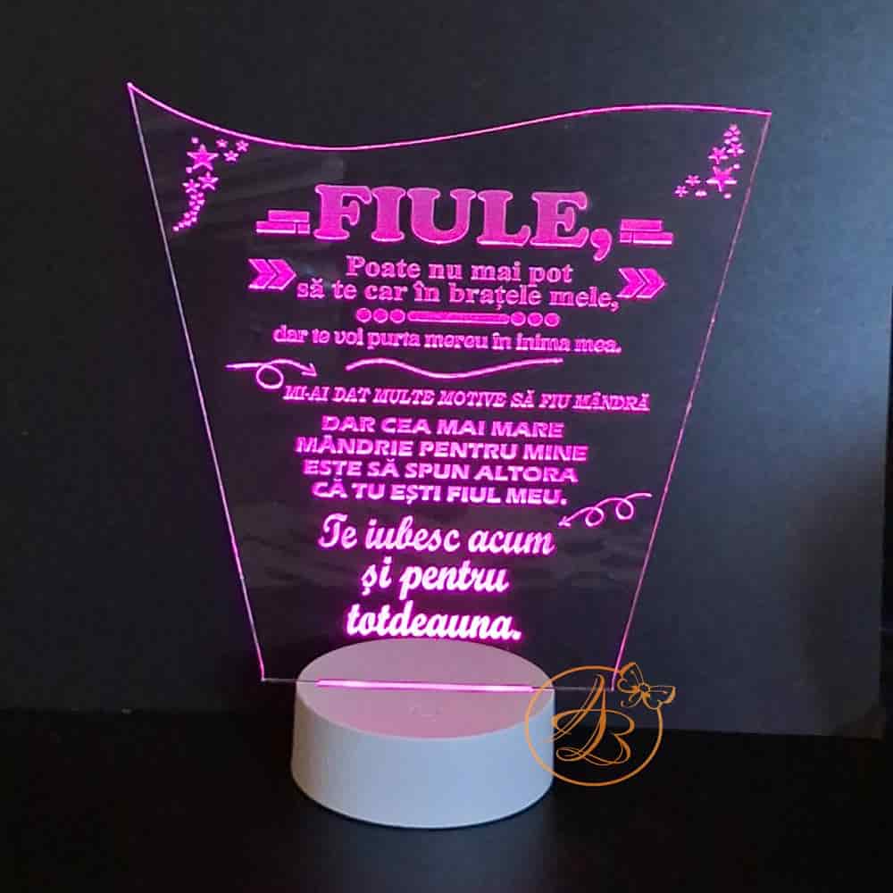 Decor trofeu gravat pentru fiu, cu leduri colorate - imagine 4