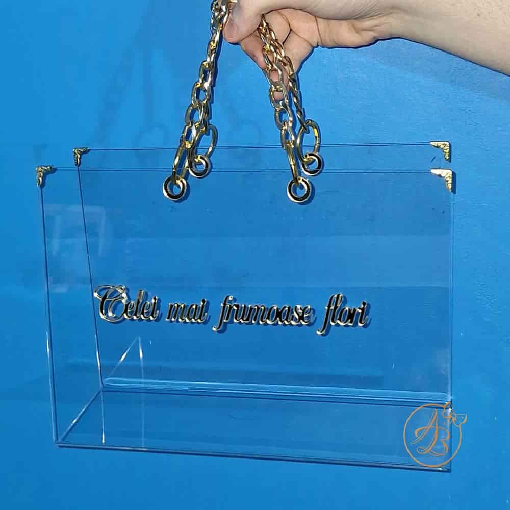 Poseta, geanta mijlocie din plexiglass transparent cu maner auriu - imagine 12