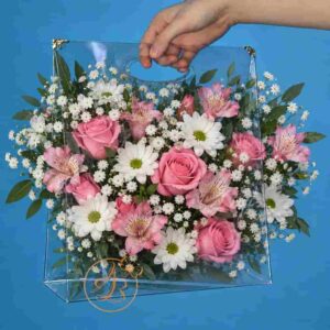 Poseta, geanta mare din plexiglass transparent flexibil